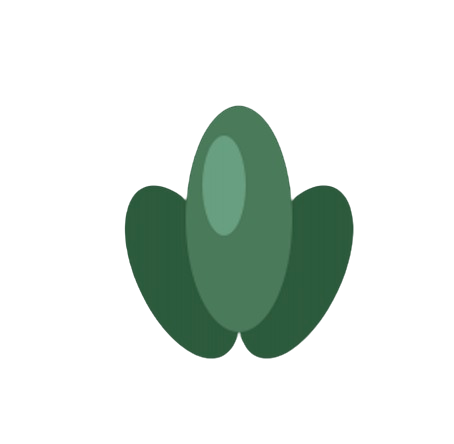 NaturaVida Costa Rica